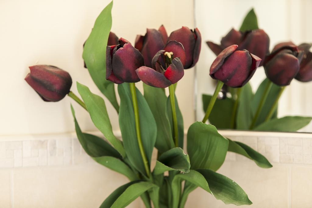 Dublin Vacation Rentals Εξωτερικό φωτογραφία